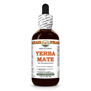 Yerba Mate Alcohol-FREE Liquid Extract, Yerba Mate (Ilex Paraguariensis) Dried Leaf Glycerite