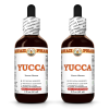 Yucca (Yucca Glauca) 2x2 Oz