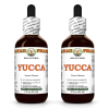 Yucca (Yucca Glauca) 2x2 Oz