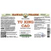 Yu Xing Cao Alcohol-FREE Liquid Extract, Yu Xing Cao (Houttuynia Cordata) Dried Herb Glycerite