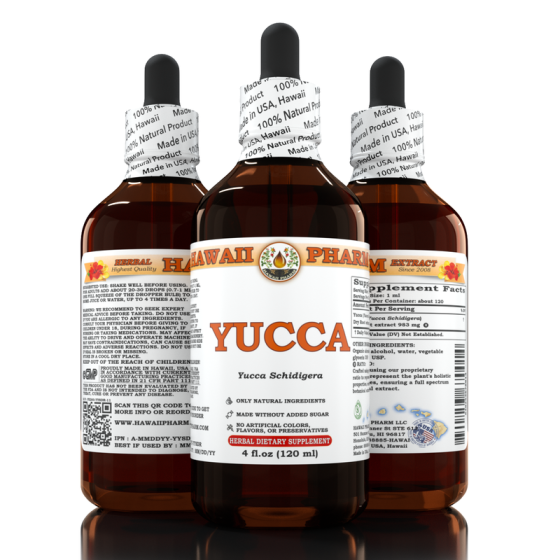 Yucca (Yucca schidigera)
