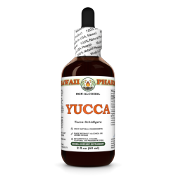 Yucca Alcohol-FREE Liquid Extract, Yucca (Yucca Schidigera) Dried Root Glycerite