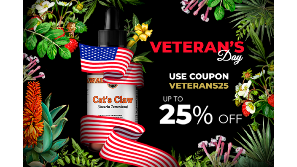 HAPPY VETERANS DAY 2024!