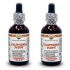 California Poppy Dried Aerial Parts, Passionflower and Blue Vervain Dried Root Liquid Extract Tincture 2x2 Oz