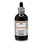 Ailanthus Liquid Extract, Dried bark (Ailanthus Altissima) Alcohol-Free Glycerite