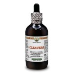 Cleavers Alcohol-FREE Liquid Extract, Organic Cleavers (Galium aparine) Organic Dried Above-Ground Parts Glycerite