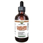 Carline Thistle (Carlina Acaulis) Tincture, Dried Root ALCOHOL-FREE Liquid Extract