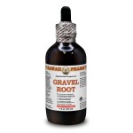 Gravel Root Liquid Extract, Gravel Root (Eupatorium Purpureum) Dried Root Tincture