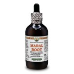 Maral Alcohol-FREE Liquid Extract, Maral (Rhaponticum Carthamoides) Dried Root Glycerite