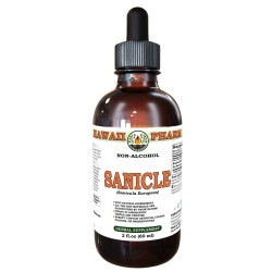 Sanicle (Sanicula Europaea) Tincture, Dried Herb ALCOHOL-FREE Liquid Extract