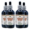 California Poppy Dried Aerial Parts, Passionflower and Blue Vervain Dried Root Alcohol-FREE Herbal Liquid Extract Glycerite 4x4 Oz