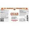 Guar (Cyamopsis Tetragonoloba) Tincture, Certified Organic Dried Gum Powder Liquid Extract