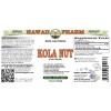 Kola (Cola Nitida) Tincture, Wildcrafted Dried Whole Nut ALCOHOL-FREE Liquid Extract