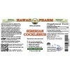 Siberian Cocklebur (Xanthium Strumarium) Tincture, Certified Organic Dried Fruit ALCOHOL-FREE Liquid Extract