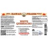 White Quebracho (Aspidosperma Quebracho-Blanco) Dried Bark Tincture