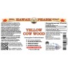 Yellow Cow Wood Liquid Extract, Huang Niu Cha, Yellow Cow Wood (Cratoxylum Cochinchinense) Dried Leaf Tincture