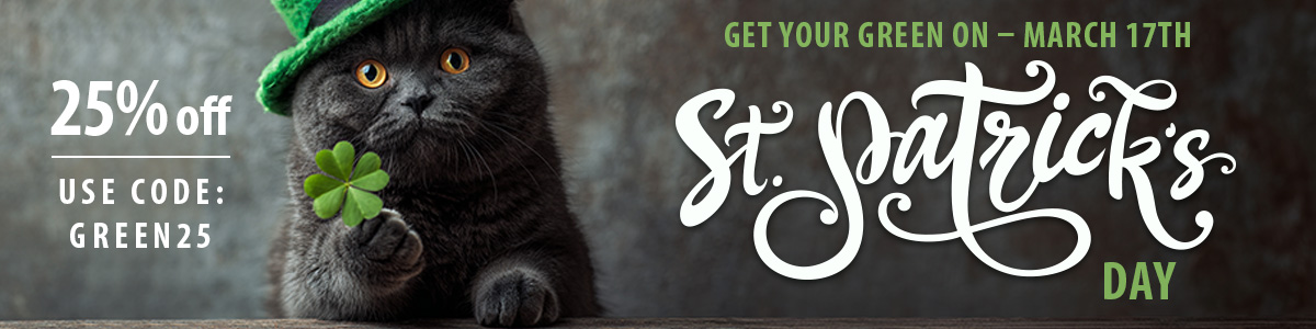 Holiday Special Offer